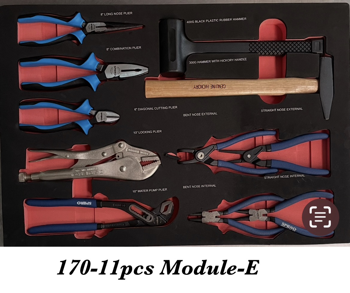 170-11pcs MODULE-E