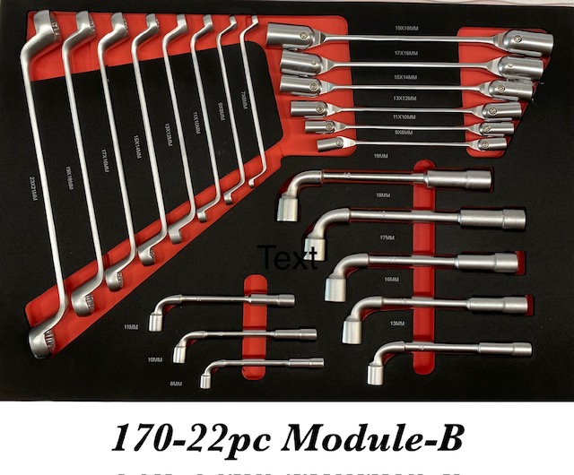 170-22pcs MODULE-B