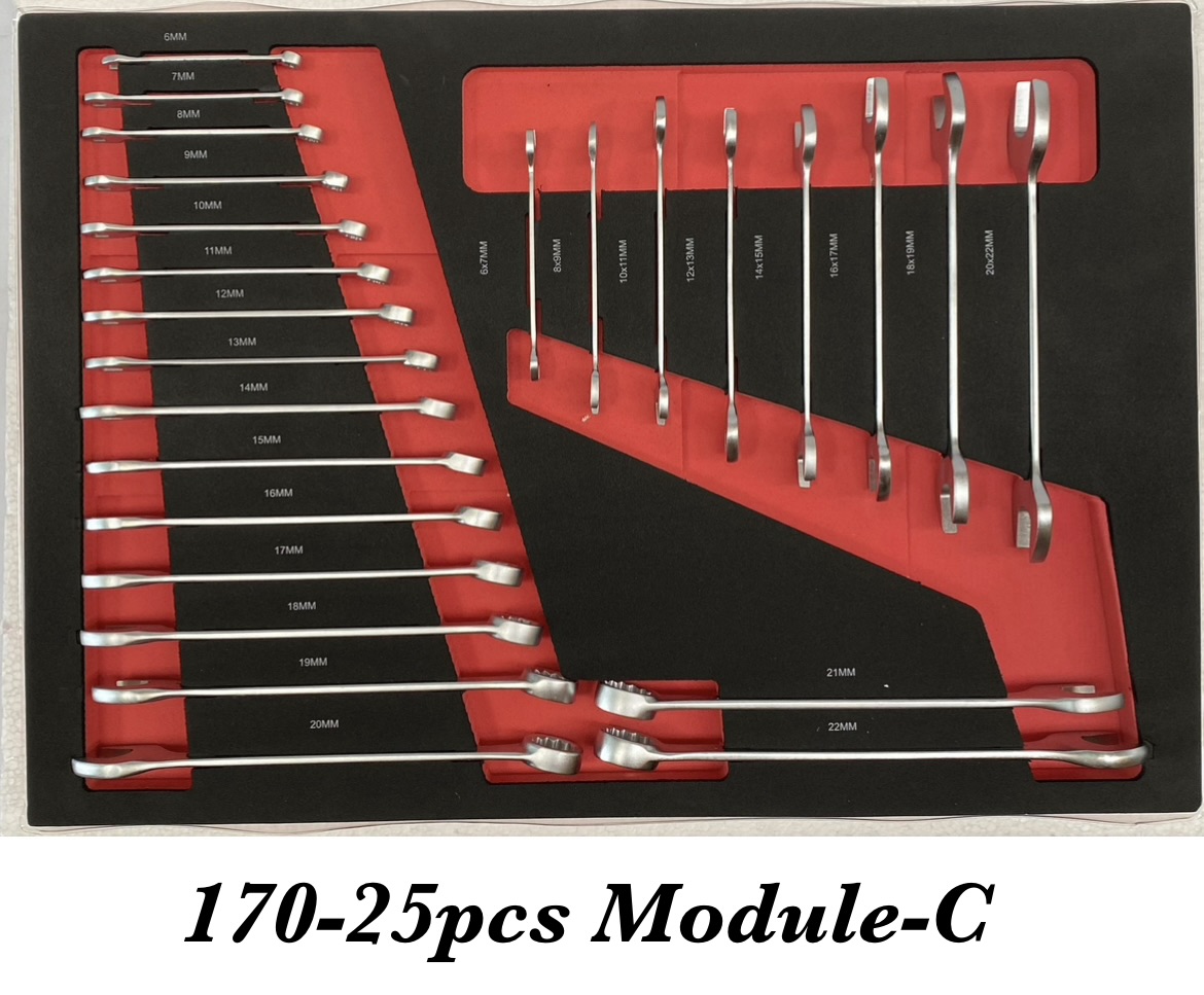 170-25pcs MODULE-C