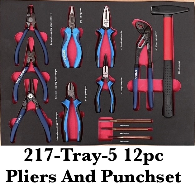 217-TRAY-5 PIERS & PUNCH SET